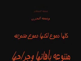 Assi Helani Viny Roumy