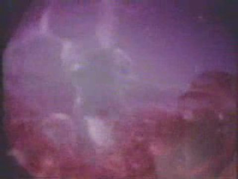 Pink Floyd : 'The Great Gig in the Sky'