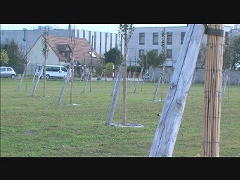 La nouvelle promenade plantée au Plessis-Bouchard