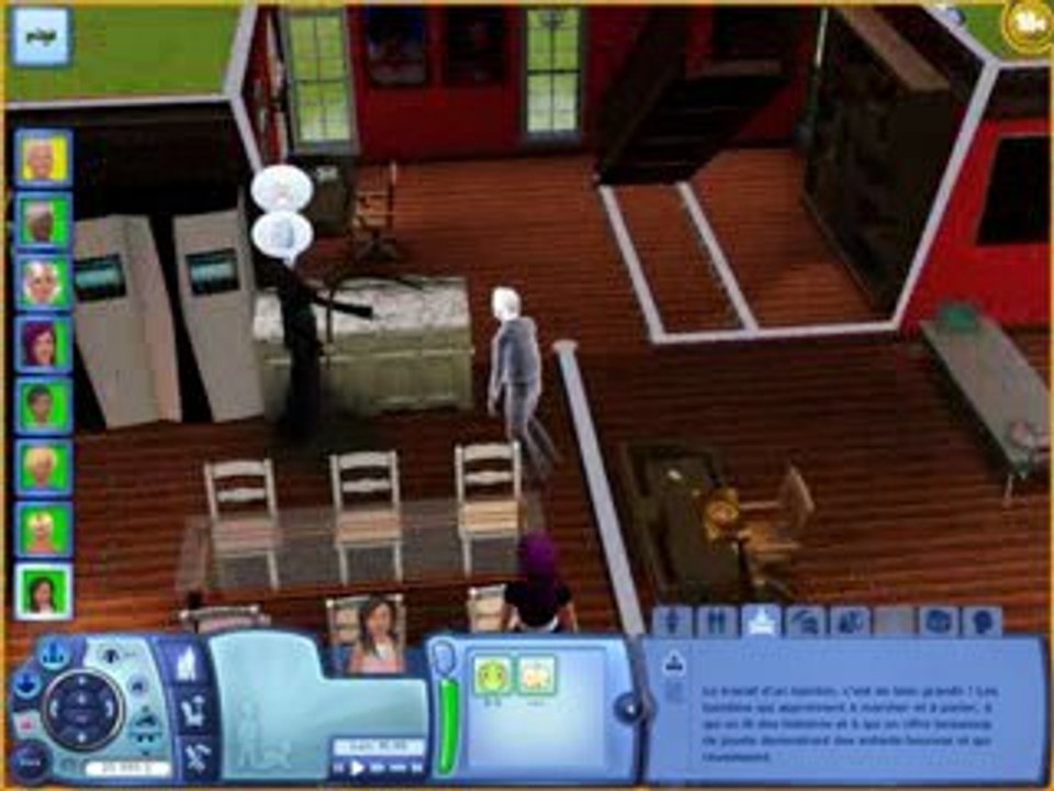 Video sims