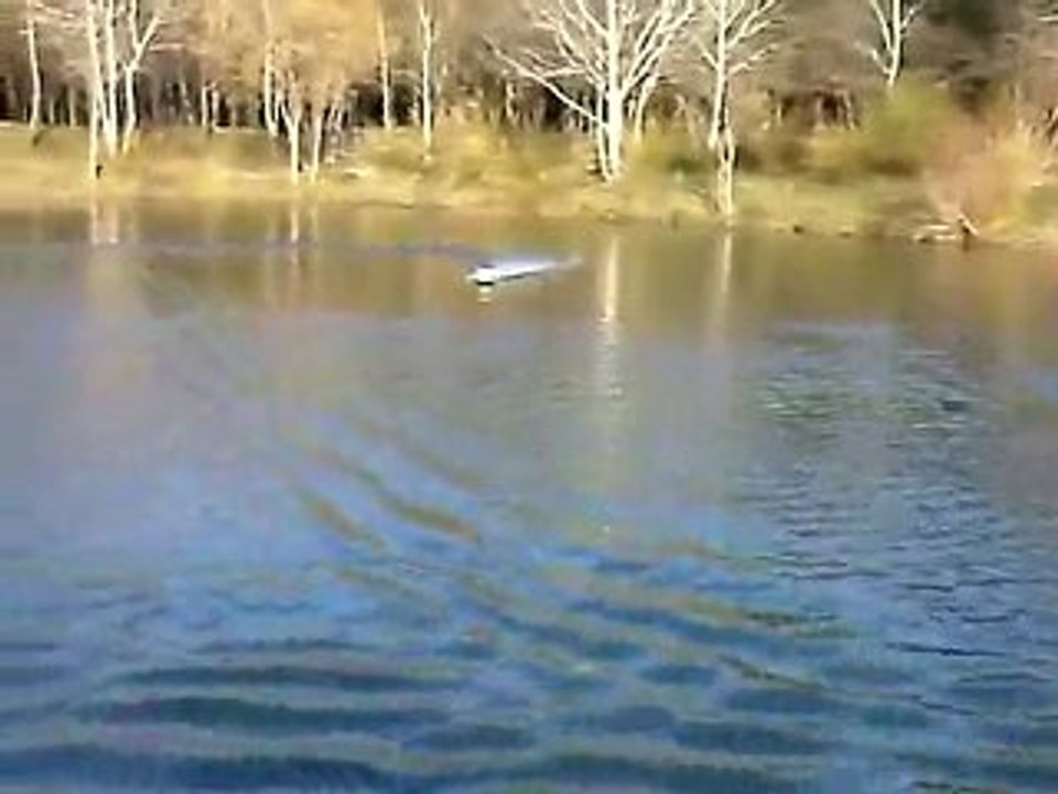 bateau moteur 775