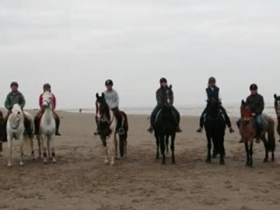 Horse's Farm remix .