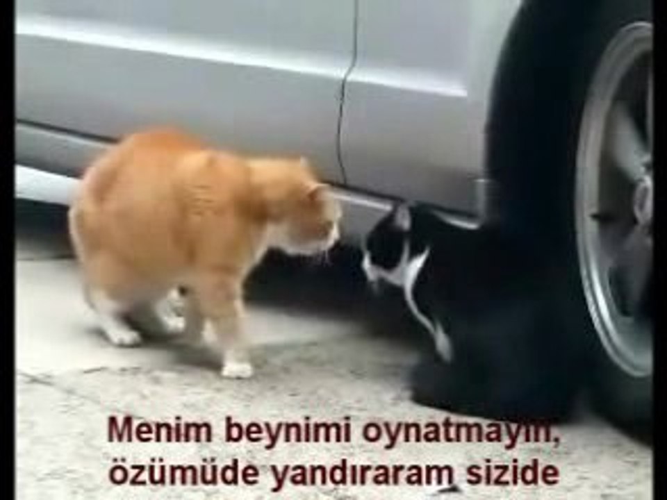 meuv