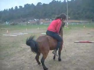 Pauline et le ptit poney