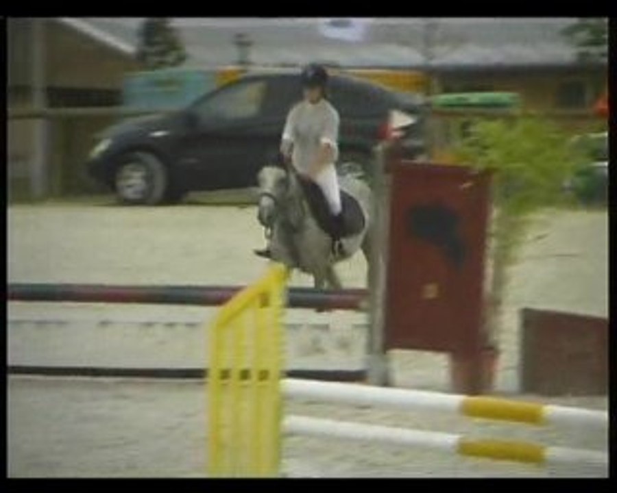 Poni C (2005)