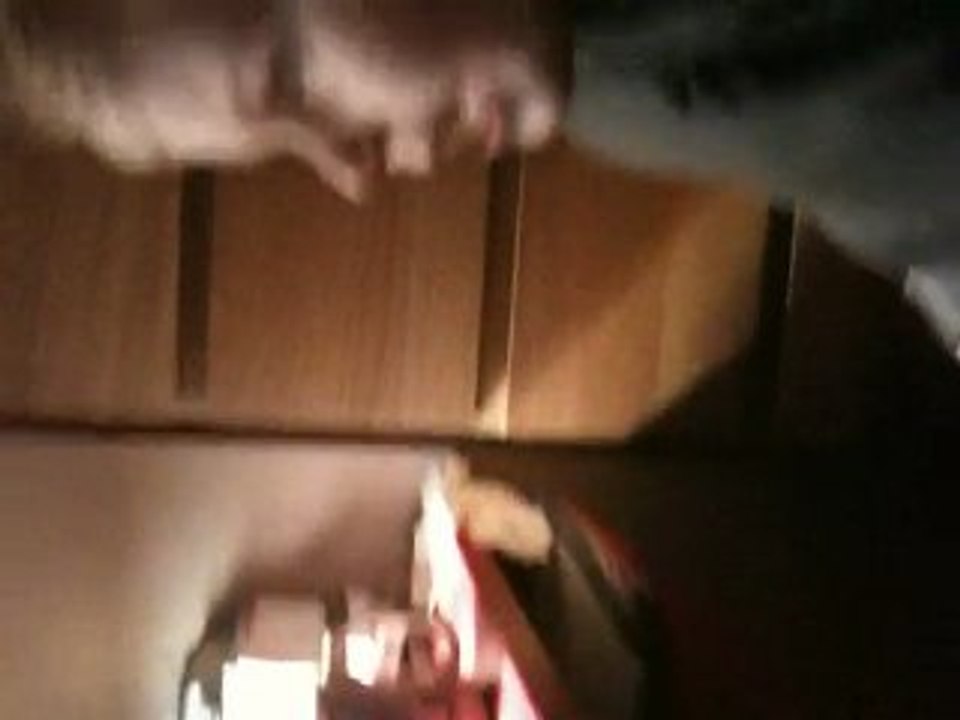 Chanson Souris Verte Mila dec09