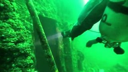 Underwater Adventure in Kingston - Ontario, Canada