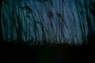 The True Story of the Lord Jesus in Twi P 5 (Jesus film)