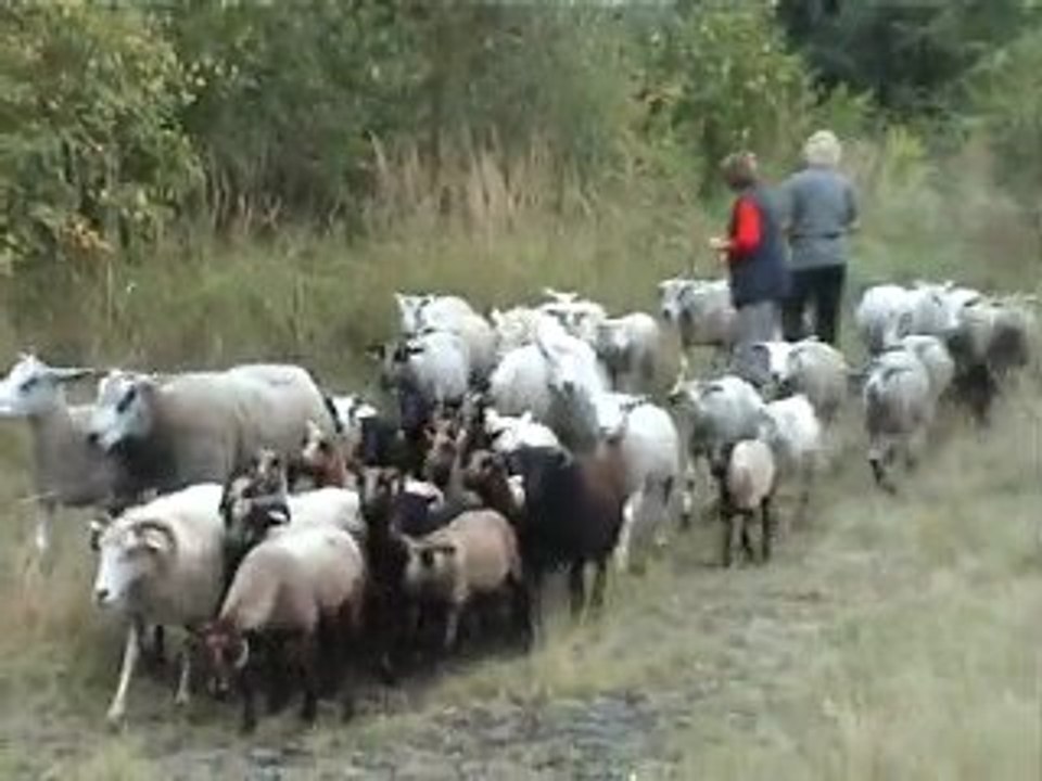 entrainement à Abscon
