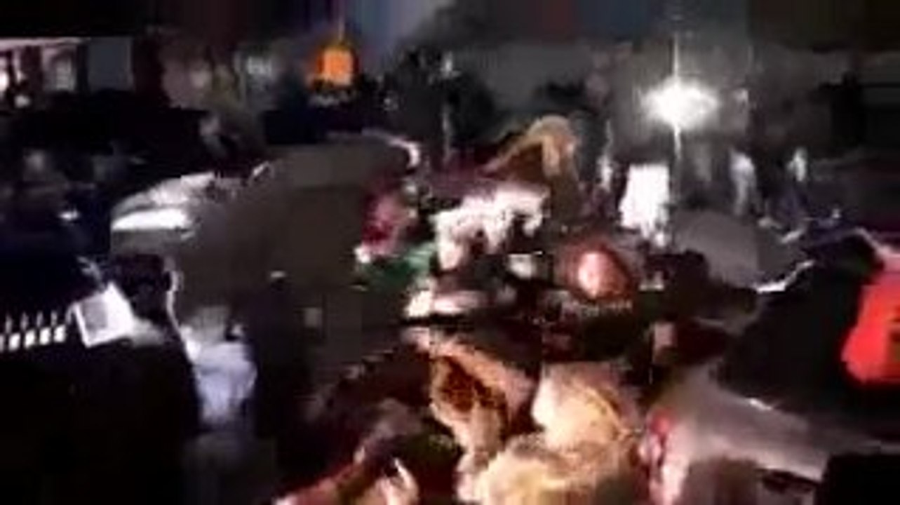 CopenhagenDanishPolice BeatingEveryone
