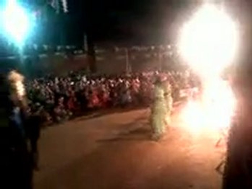 choha  2009