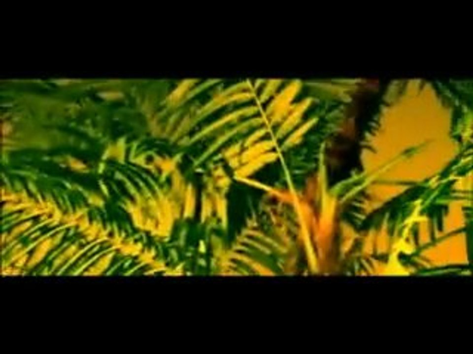 PeeZee feat jDiggz - 34D'z -