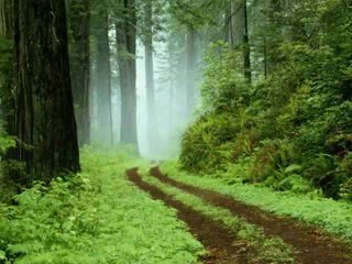 Law of Attraction Hypnosis