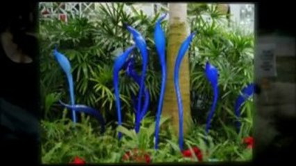 Our Lives: PKD Central Ohio (HD)