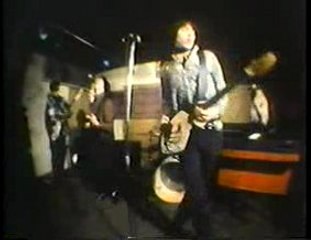 The Fuzztones - The Witch (The Sonics)