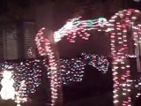 Redwood Shores Homes Decorated for Christmas