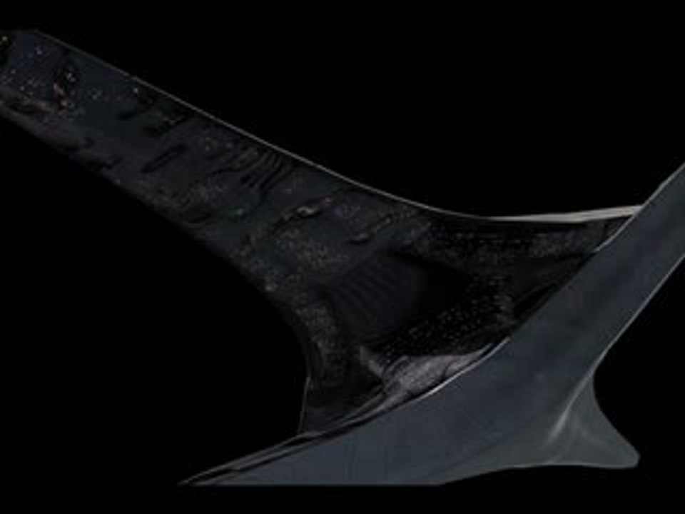 Battlestar Galactica Season 2 - A Promise to Return, Allegro