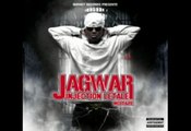 jagwar-instinct animal