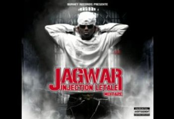 jagwar-instinct animal