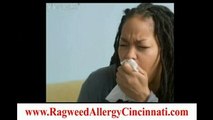 Tips To Avoid Ragweed Allergy