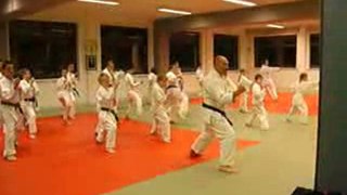 Cours shotokan karaté herseaux