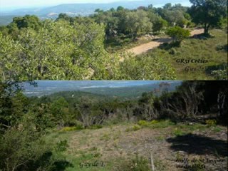GR51 N°4 Bormes-GRIMAUD
