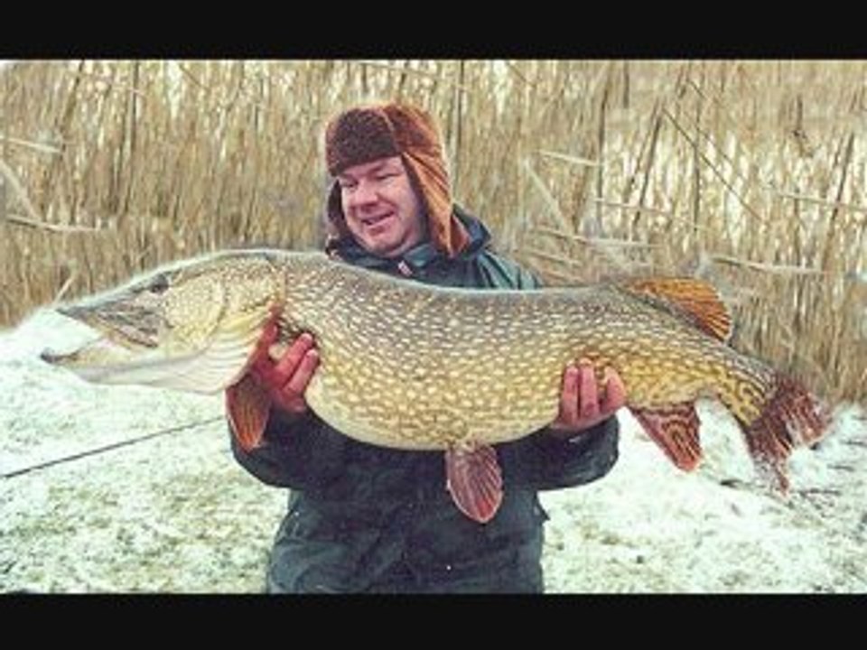 Pêche aux brochet Sélection de big fish