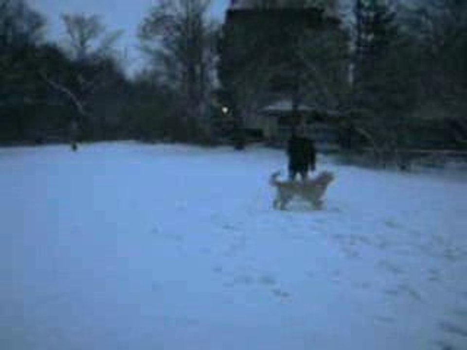 Der erste Schnee im Morgengrauen