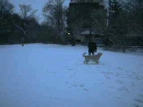 Der erste Schnee im Morgengrauen