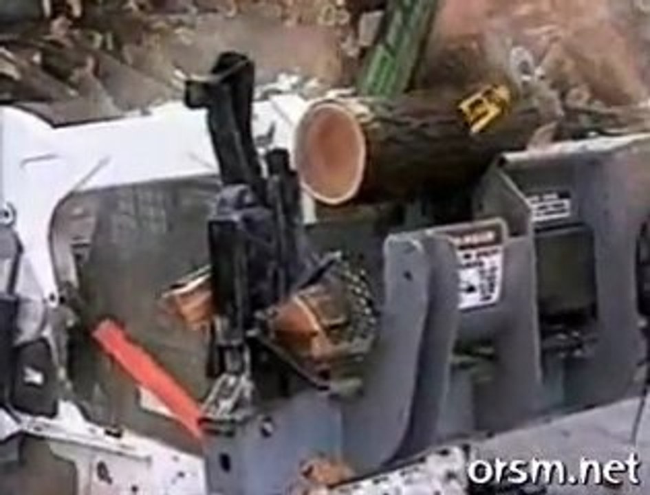firewood_bob_cat