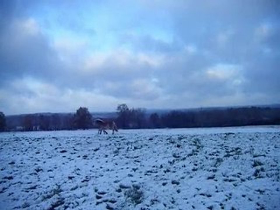 Osiris - 18.12.09
