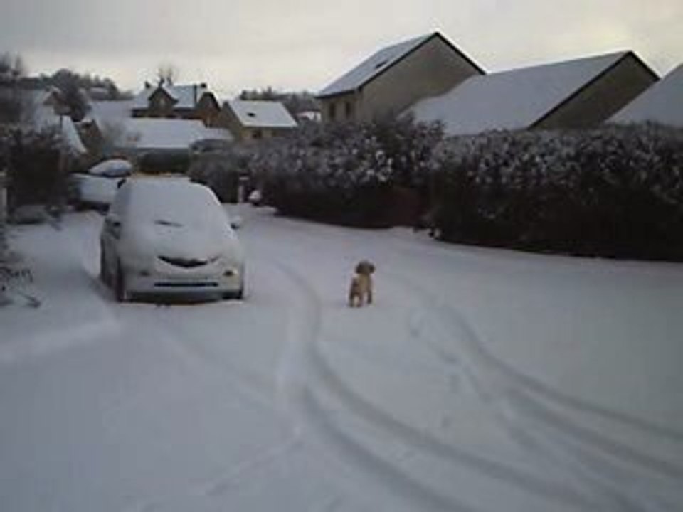 scooby sous la neige