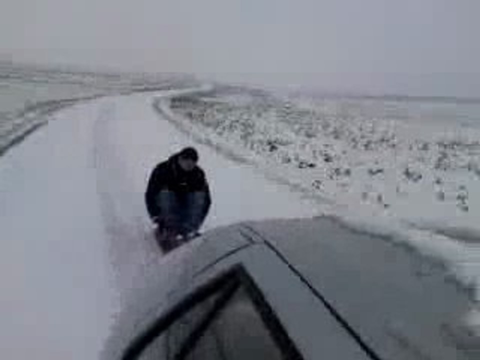 luge