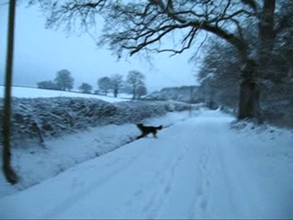 zyon 18 décembre 2009