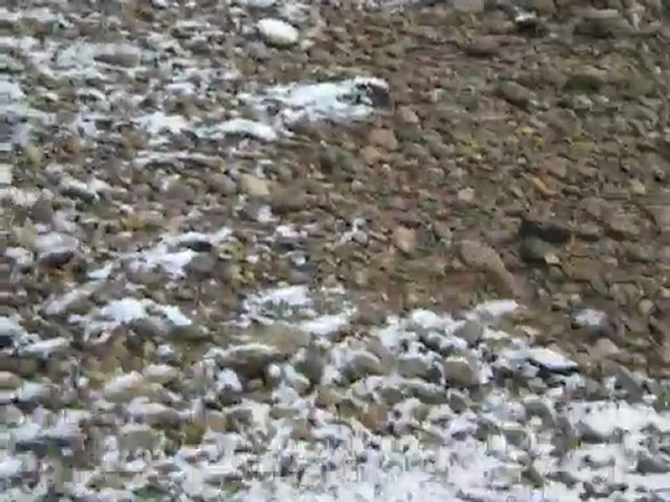 Balade dans la neige