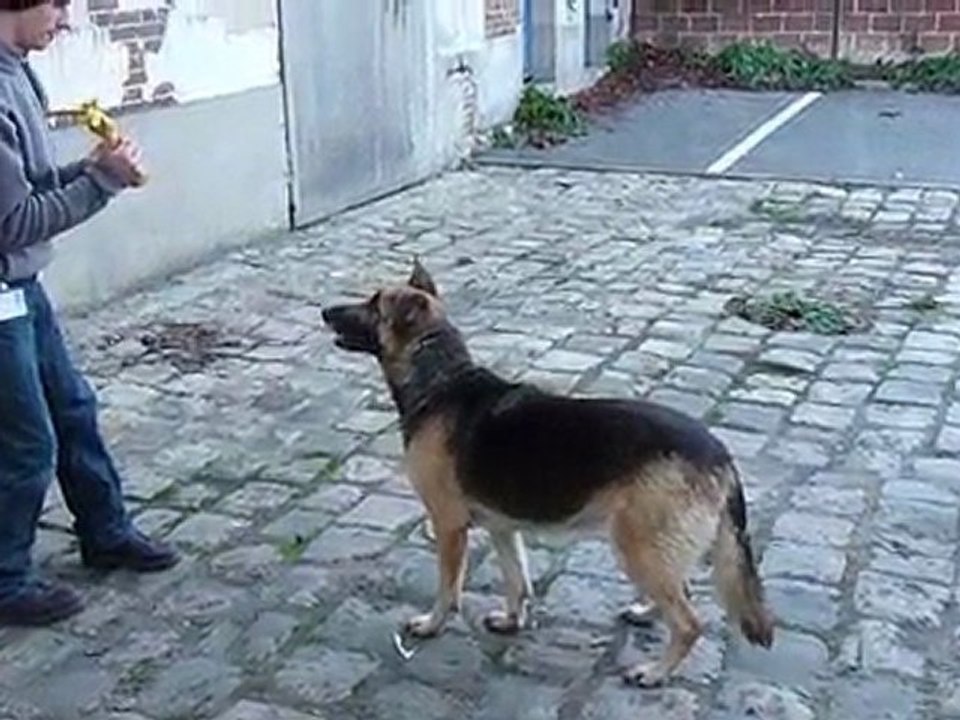 Maya: Jeux le 16/12/09 (2)