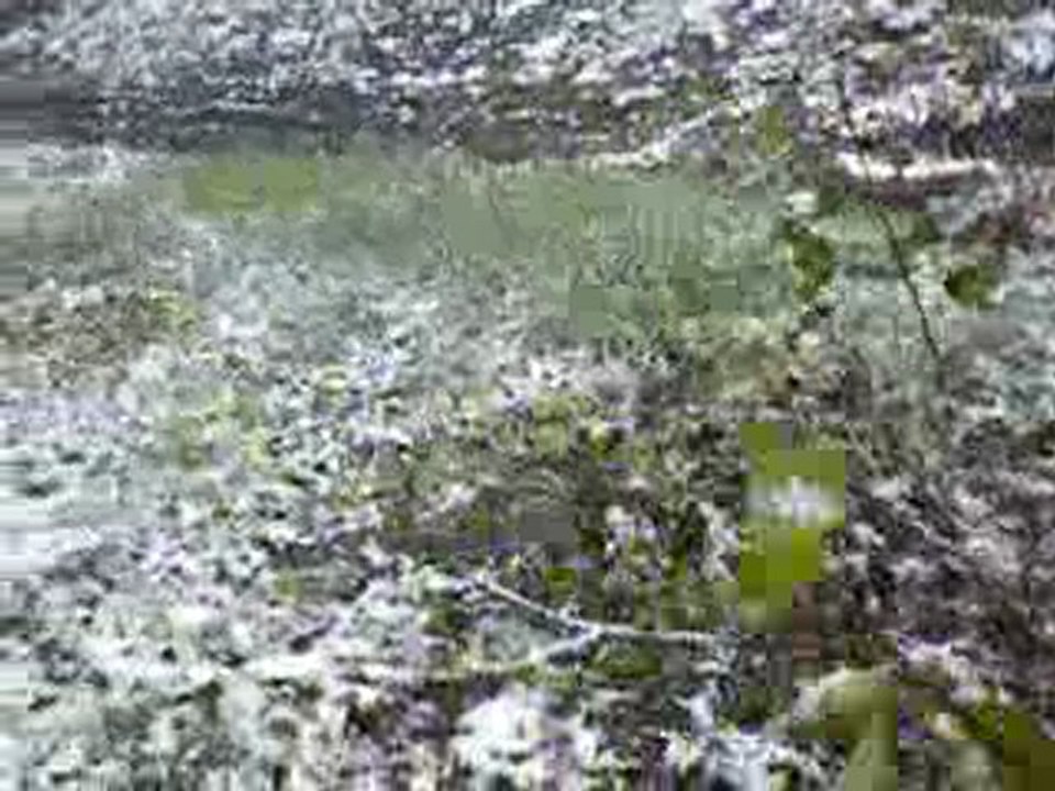 Balade dans la neige II