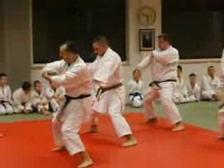 cours shotokan karaté herseaux