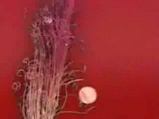 Madonna Get Together