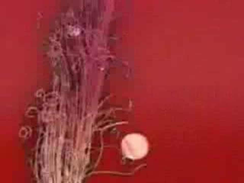 Madonna Get Together