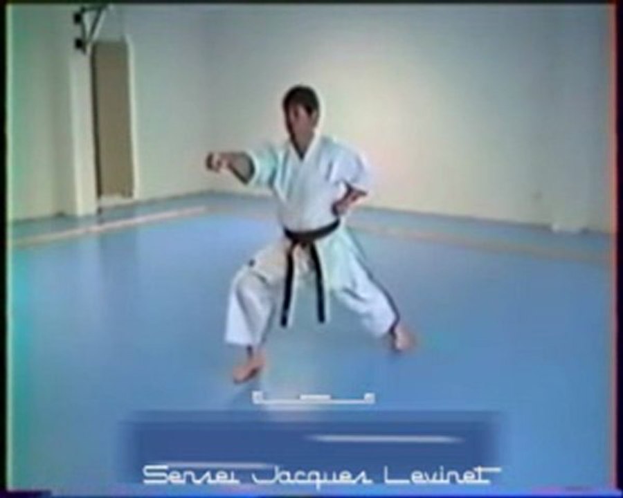 KATA KARATE HEIAN SHODAN (Ralenti)