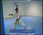 KATA KARATE HEIAN SANDAN (Ralenti)