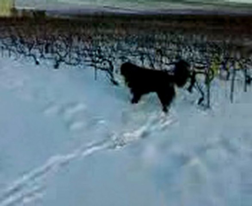 Vidéo0126