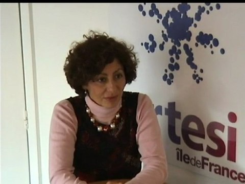 Pascale Luciani BOyer : TICE et Collectivités territoriales