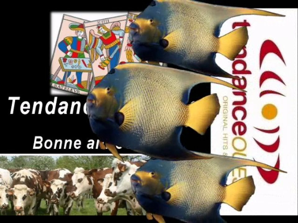 Foot : US Avranches et AS Cherbourg en 2010 ?