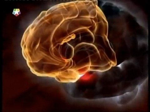 Psicoterapia: Cambios cerebrales