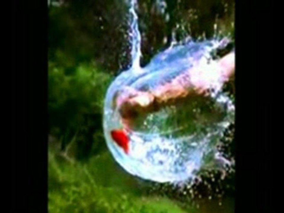 Petite improvisation dans le style de Steve Vai