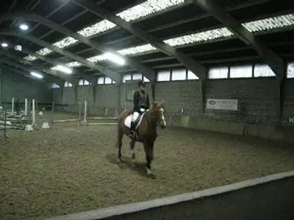 étrier d'or épreuve d'obsatcle