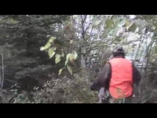 Moment de chasse à la bécasse avec un beau tir!