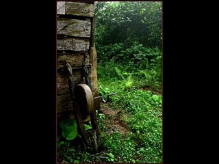 ç.hemşin ve yaylaları-mahmut -turan.kavrun.tr.gg